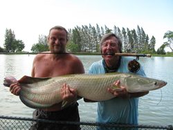 Arapaima Giga capturé en Thaïlande Canne Thomas & Thomas Helix 9p soie 8 Moulinet Abel Super 7/8N - Custom Peacock Bass 