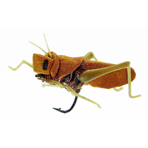 Mouche J:son insecte terrestre sauterelle - 143 - 20 mm h14 - Olive Brown