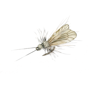 Mouche J:son trichoptère adulte - 95 - 9 mm h22 - Ash Grey