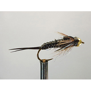 Mouche Lm2g nymphe casquée - N20 - Nymphglas Blk Stonefly  h10