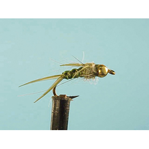 Mouche Lm2g nymphe casquée - N33 - Olive Stonefly  h14