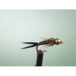 Mouche Lm2g nymphe casquée - N36 - Copper John Black  h14