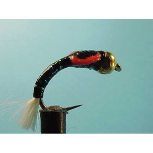 Mouche Lm2g nymphe casquée - N6 - Black Buzzer Special  h 12