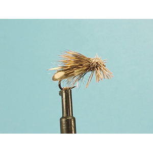 Mouche Lm2g mouche sèche - S18 - Mottled Muddler Sedge h12