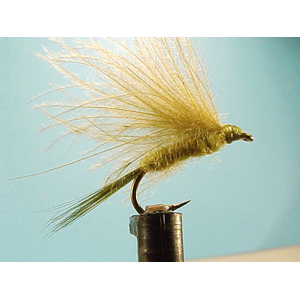 Mouche Lm2g mouche sèche - S22 - Fastwater Olive  h 14