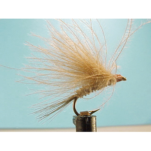 Mouche Lm2g mouche sèche - S23 - Fastwater Beige  h 14