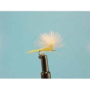 Mouche Lm2g mouche sèche - S29 - Yellow  h 16