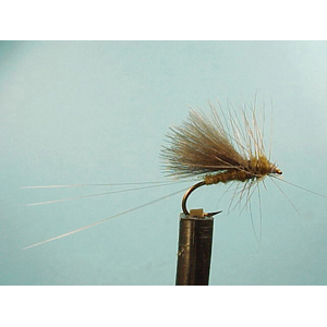 Mouche Lm2g mouche sèche - S31 - Blue Winged Olive Dun  h 16