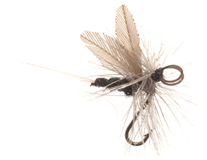 Mouche Terenzio 24 - Midge h 20