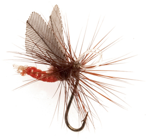 Mouche Terenzio 26 - Orange  h16