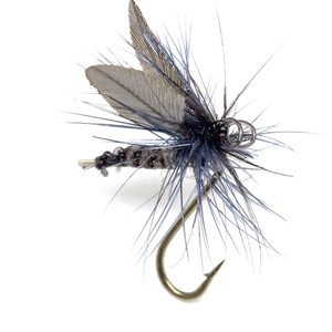 Mouche Terenzio 7 - Blue Dun  h16